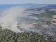 El incendio de Doñana deja ya cientos de hectáreas afectadas y todavía preocupa un posible rebrote