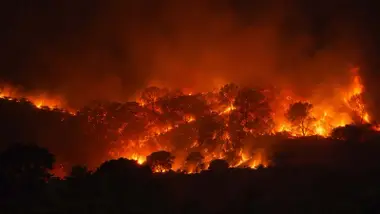 Imagen nocturna del incendio forestal de Doñana.