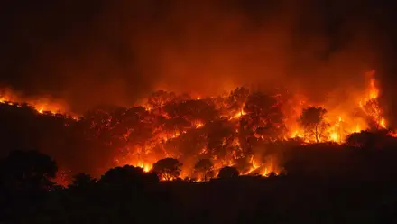Imagen nocturna del incendio forestal de Doñana.
