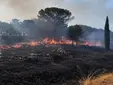 El incendio que obligó a cortar una carretera en Sevilla queda extinguido tras horas de tensión