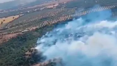 Humo provocado por el incendio forestal en Gerena.