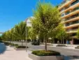 El Ayuntamiento de Sevilla plantará 60 árboles en Imagen y José Laguillo dentro de la obra del Tranvibús