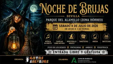Una bruja y un gato negro y las actividades de la "Noche de Brujas".