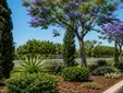 El Ayuntamiento de Sevilla planta 59 árboles y más de 6.300 arbustos en el eje de la Feria