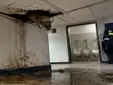 Denuncian ratas y aguas fecales en la comisaría del Distrito Macarena: los agentes llevan meses con averías