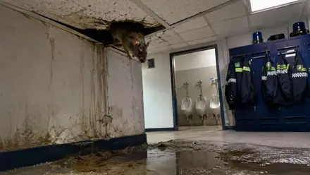 Comisaría con un gran charco de aguas fecales.