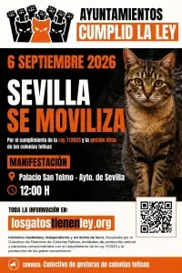 Sevilla se moviliza por los gatos comunitarios: convocan una protesta para exigir a los ayuntamientos que cumplan la Ley 7/2023