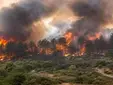 Aznalcóllar abre un censo para registrar los daños del incendio de Niebla y prepara la petición de zona catastrófica