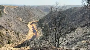 Zona del monte arrasada por el fuego.