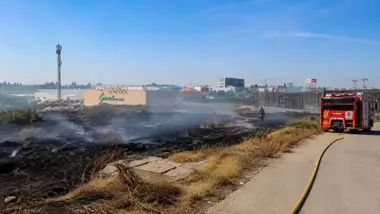 Zona de pastos quemada cercana al Centro Comercial de Gines.