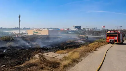 Zona de pastos quemada cercana al Centro Comercial de Gines.