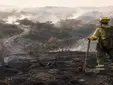 El incendio de Niebla entra en una nueva fase: 70 efectivos siguen sobre el terreno