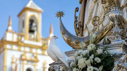Una paloma blanca se apoya en la patrona. De fondo la torre.