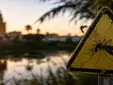 La fiebre del Nilo avanza en Andalucía, especialmente en Sevilla: 34 casos y 20 municipios ya están en alerta
