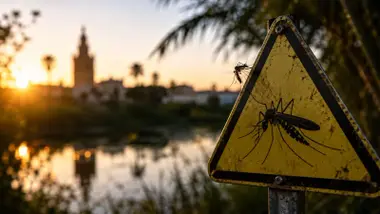Plaza de Peligro de mosquitos y, al fondo, desenfocada, la Giralda.