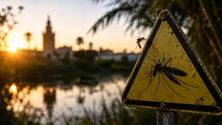 Plaza de Peligro de mosquitos y, al fondo, desenfocada, la Giralda.