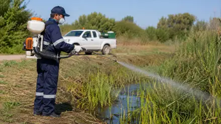 Operario fumigando contra los mosquitos y el virus del Nilo.