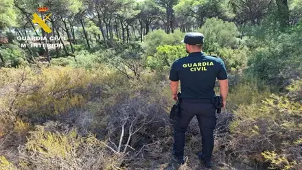 Un agente de la Guardia Civil buscando entre los arbustos.