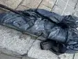 Una vecina encuentra un arma de guerra abandonada en una calle de Sevilla y la Policía Nacional busca a su propietario
